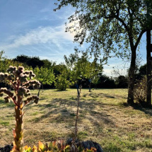 Le jardin de la maison